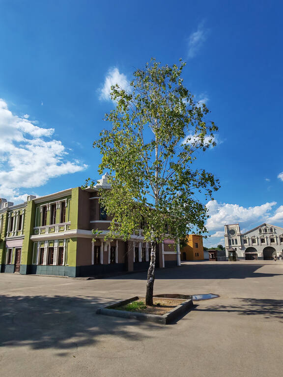 https://images.vfl.ru/ii/1782155512/851d06b0/40260986.jpg