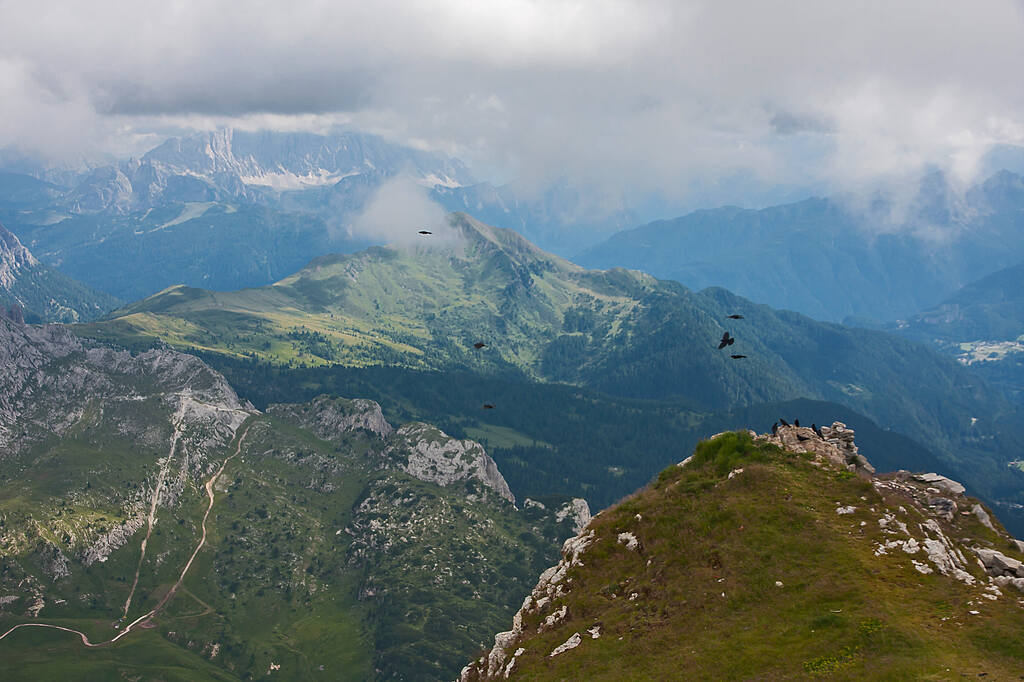 https://images.vfl.ru/ii/1782228551/3a3145a5/40261882.jpg