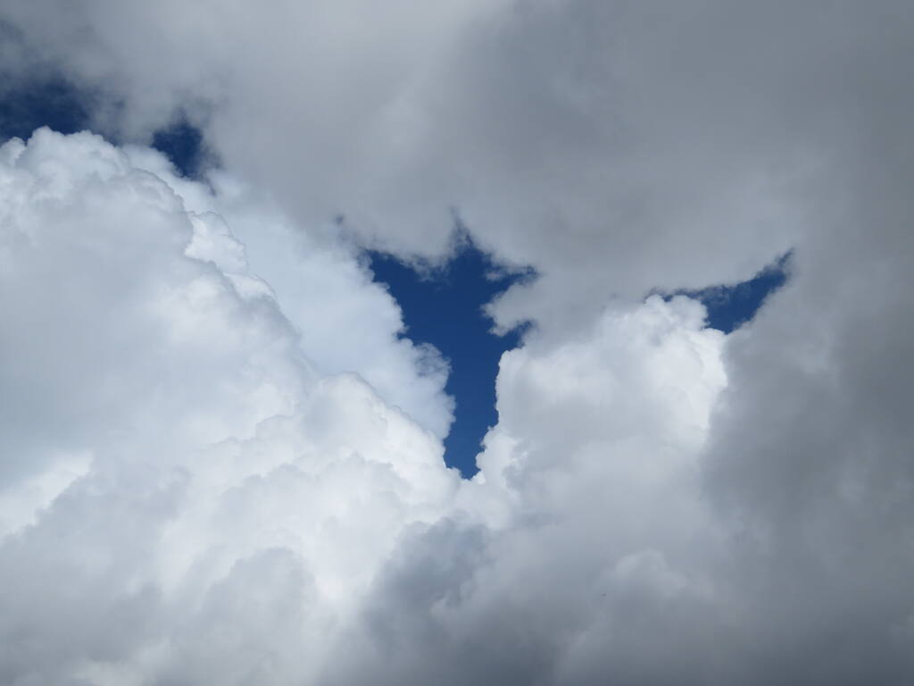 https://images.vfl.ru/ii/1782285305/7a1ce873/40262382.jpg