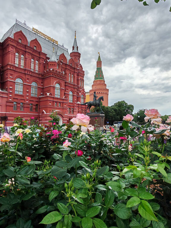 https://images.vfl.ru/ii/1782626553/bd7aa466/40274432.jpg