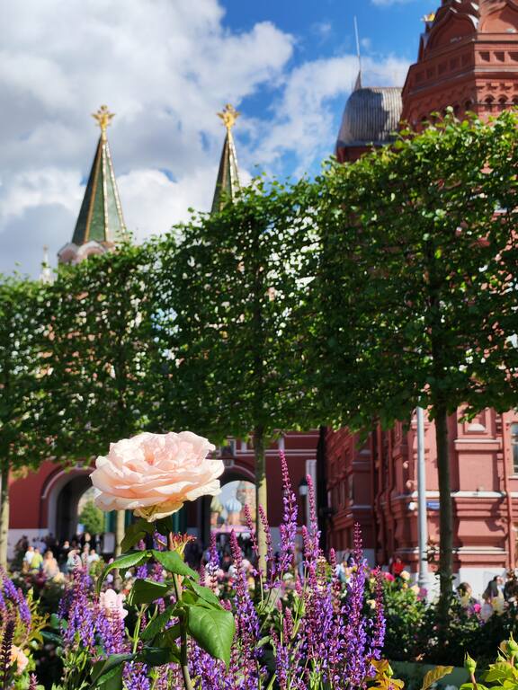 https://images.vfl.ru/ii/1782627781/60570431/40274481.jpg