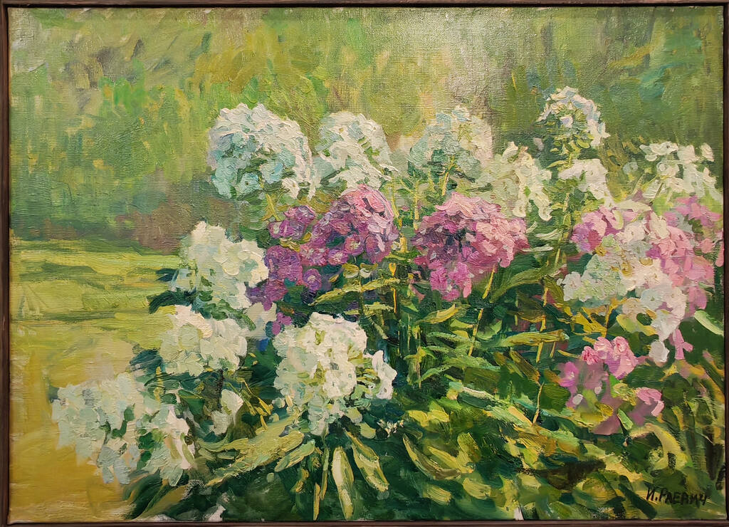 https://images.vfl.ru/ii/1782827500/a8d1967f/40277545.jpg