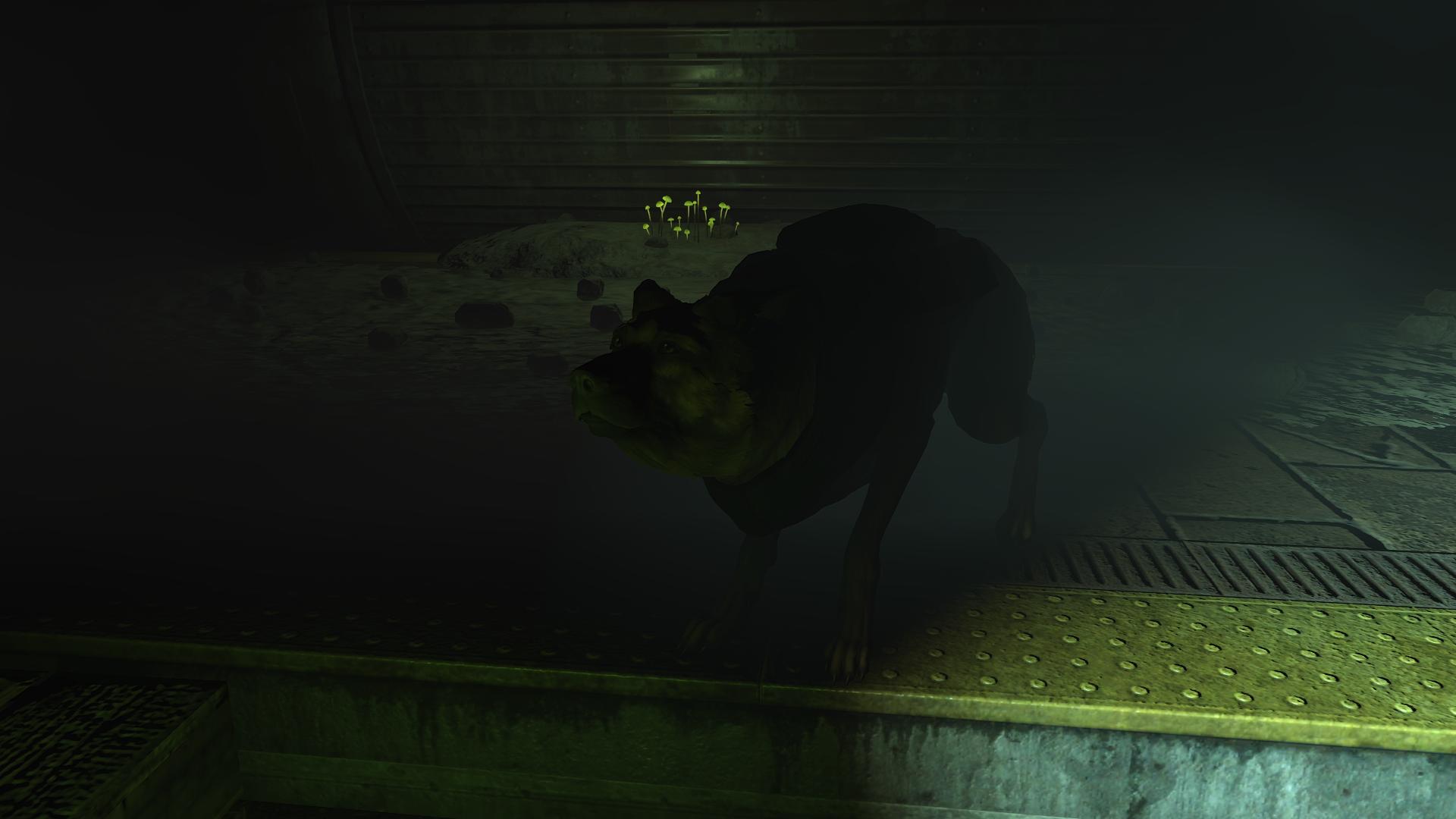 40282850.jpg