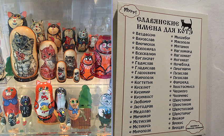VFL.RU - ��� �����������