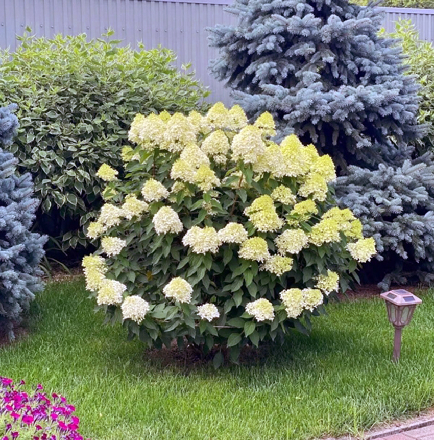 VFL.RU - ��� �����������