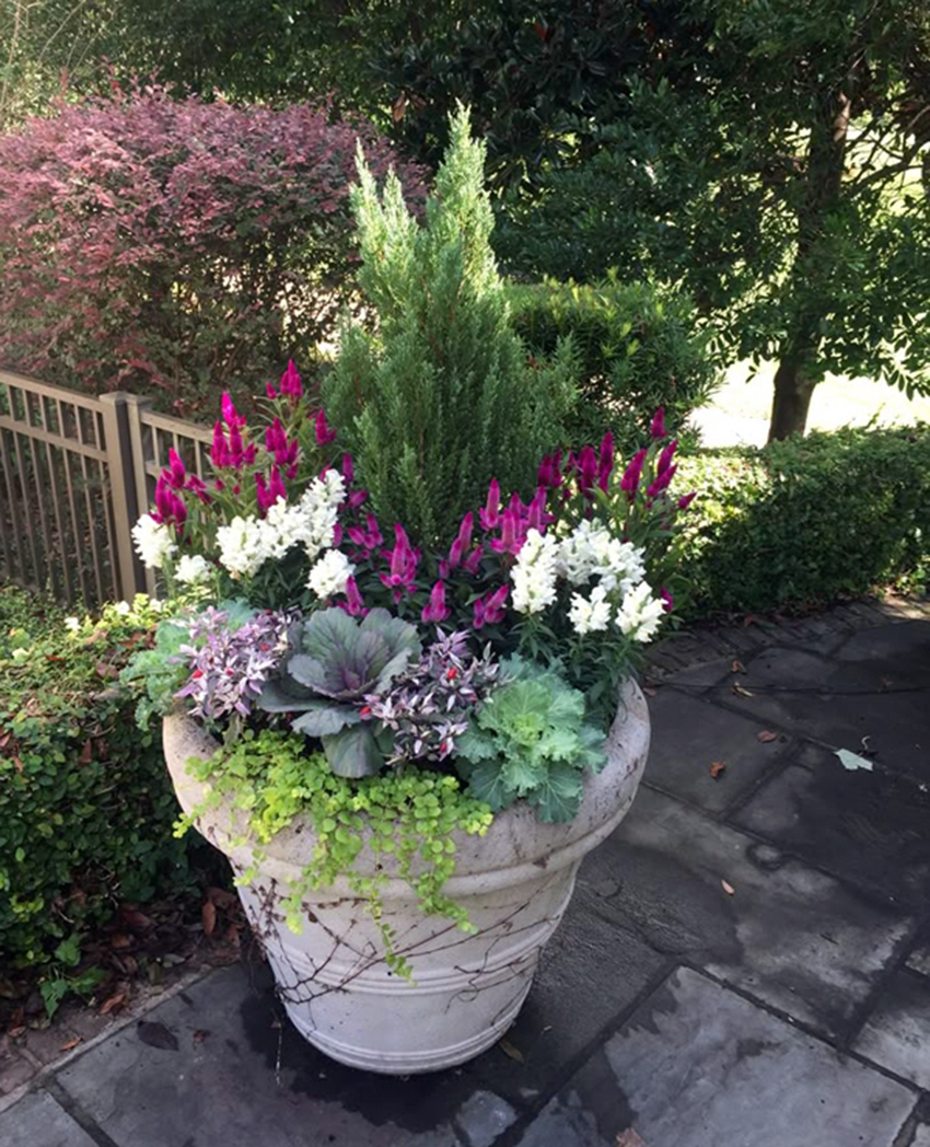 VFL.RU - ��� �����������