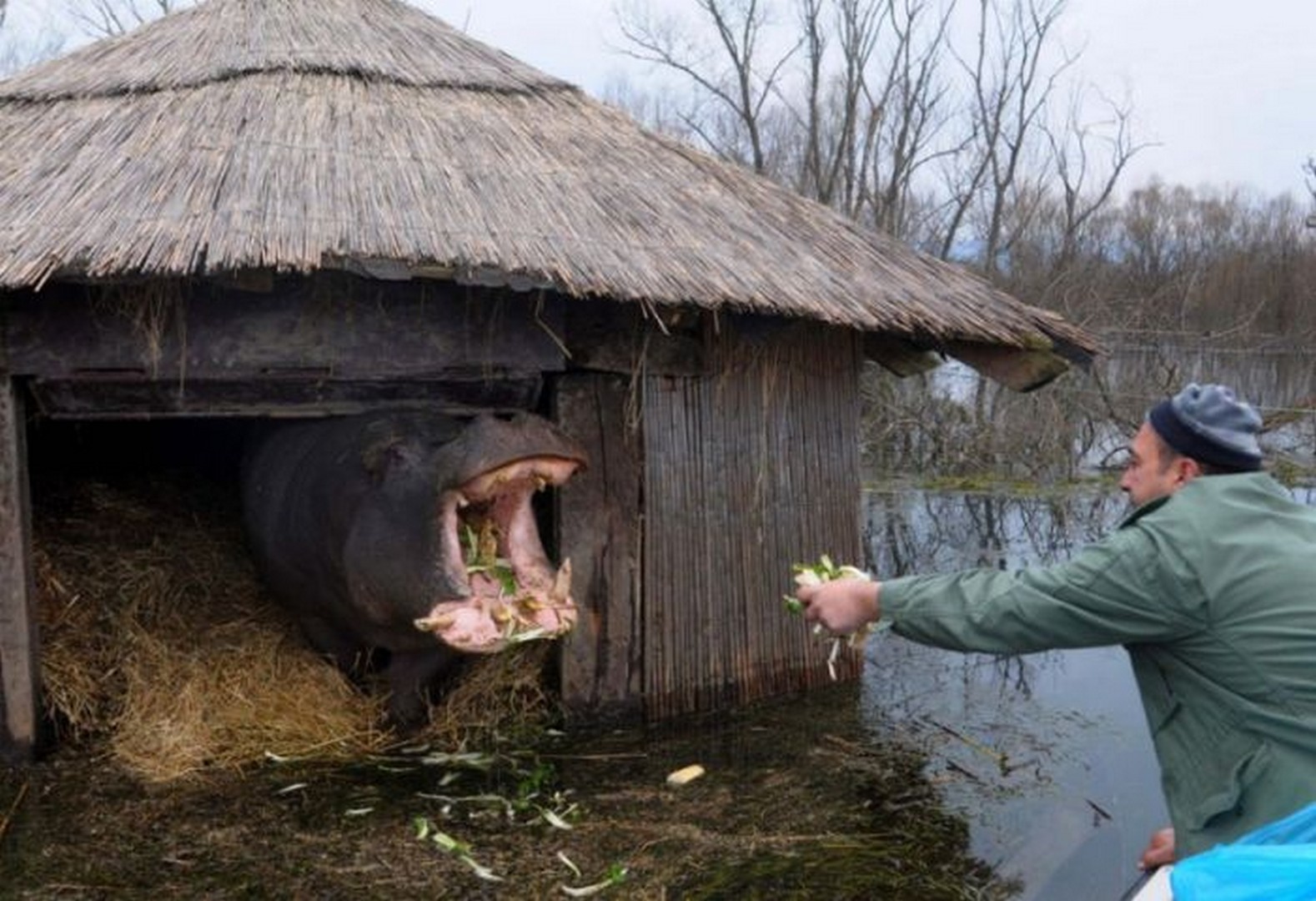 Смешные жили. Хорошо в деревне. Моя весёлая деревня.