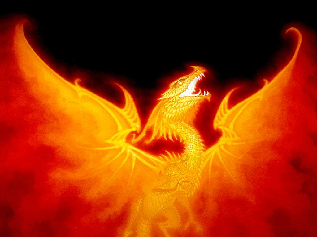 Fire dragon