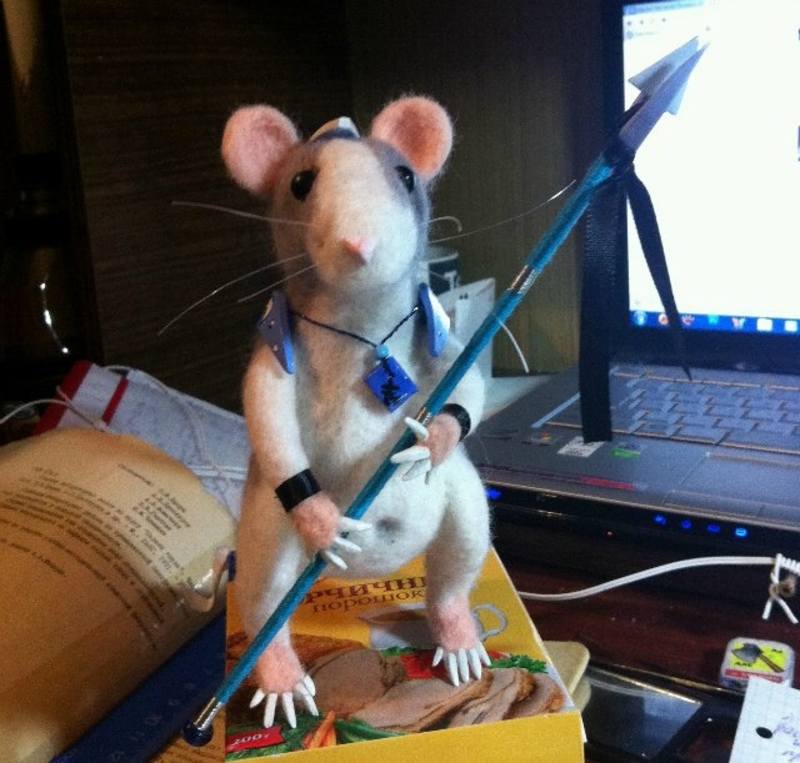 Мыши ласта. Смешная мышь. Мышь прикол. Забавные крысы. Смешные мышки.