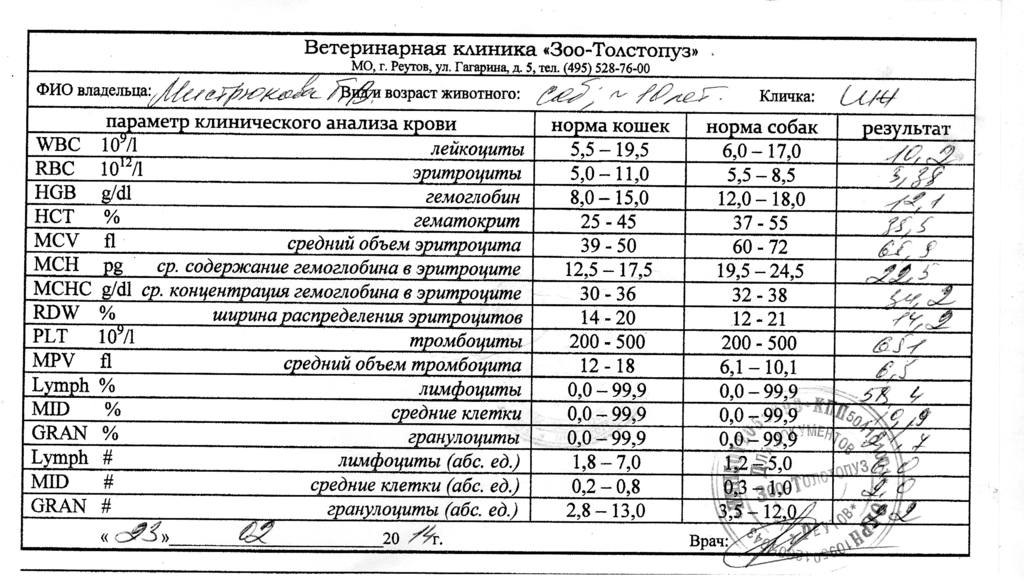 Расшифровать Анализ Крови По Фото Онлайн Бесплатно