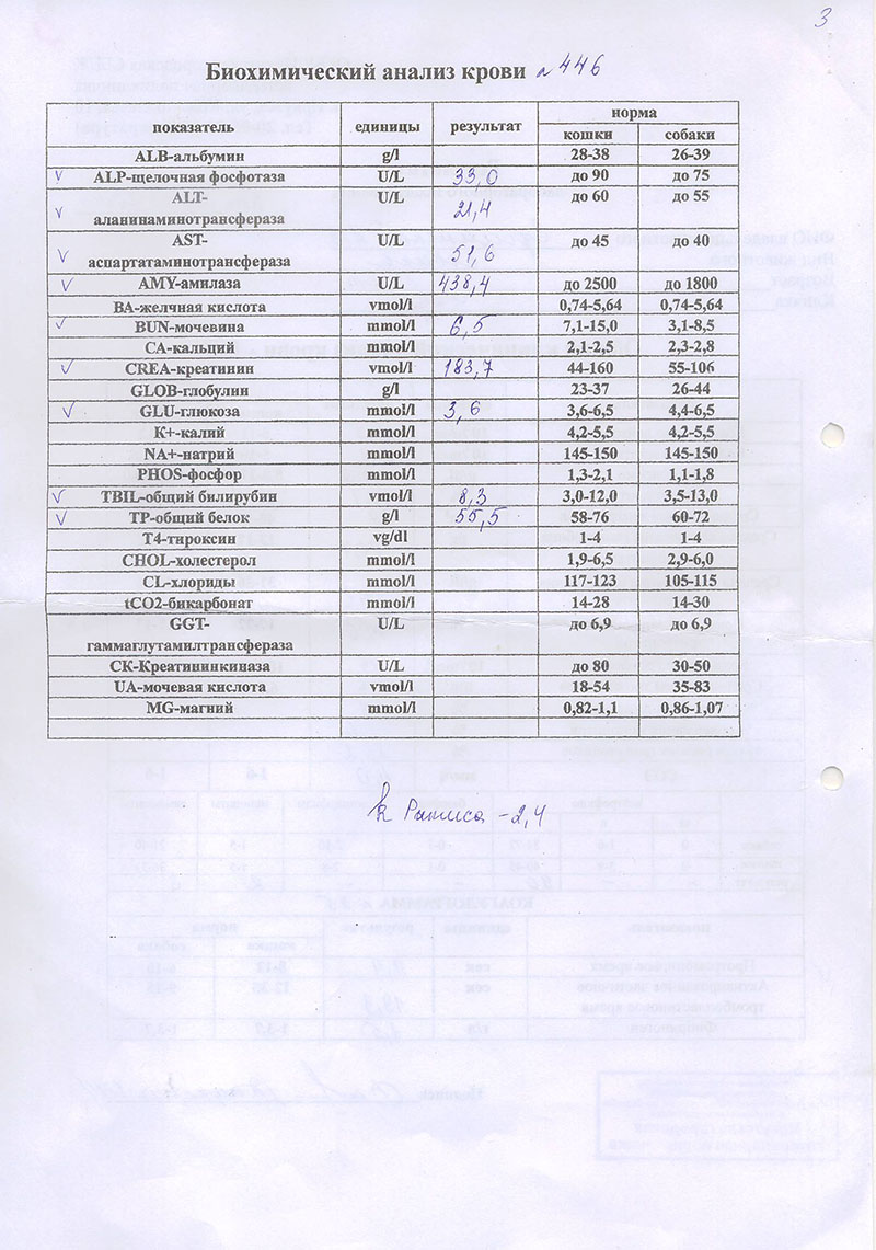 Расшифровка биохимического анализа собаки