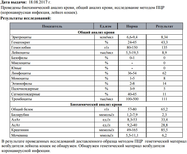 Анализы для химиотерапии