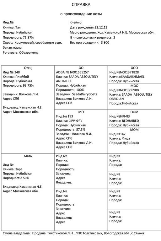 Тай род. Справка о происхождении козы. Свидетельство о происхождении козы. Форма справки о происхождении козы. Справка о происхождении козы таблица.