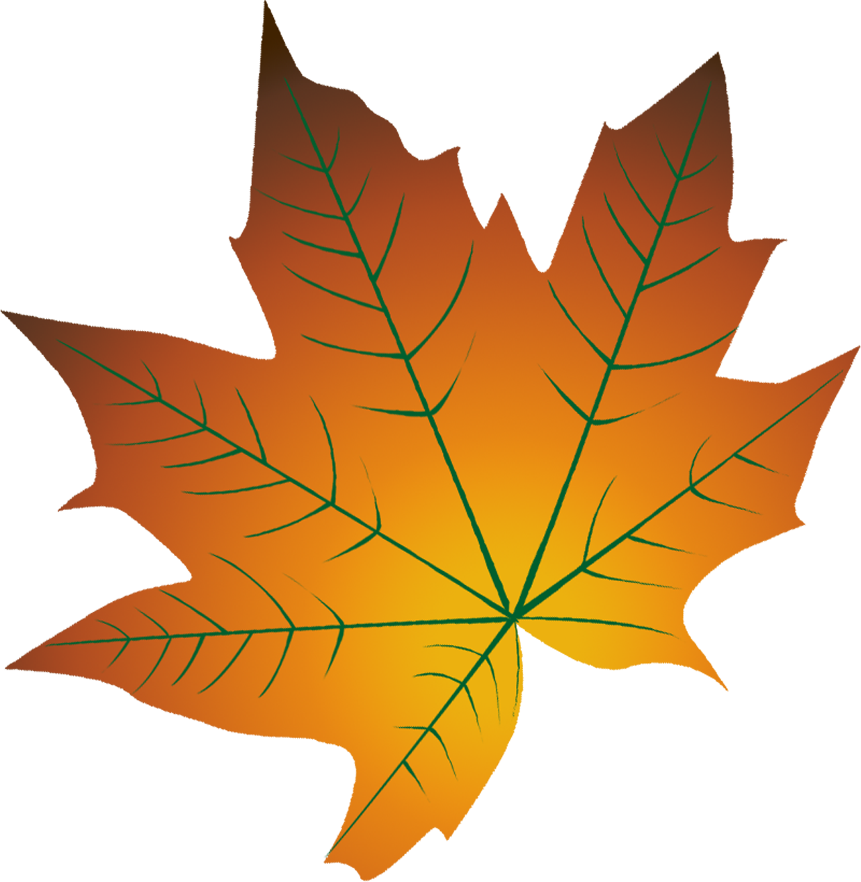 Листья картинки. Осенний Калиновый лист. Листики осенние кленовые. Осенний кленовый лист. Листок кленовый кленовый.