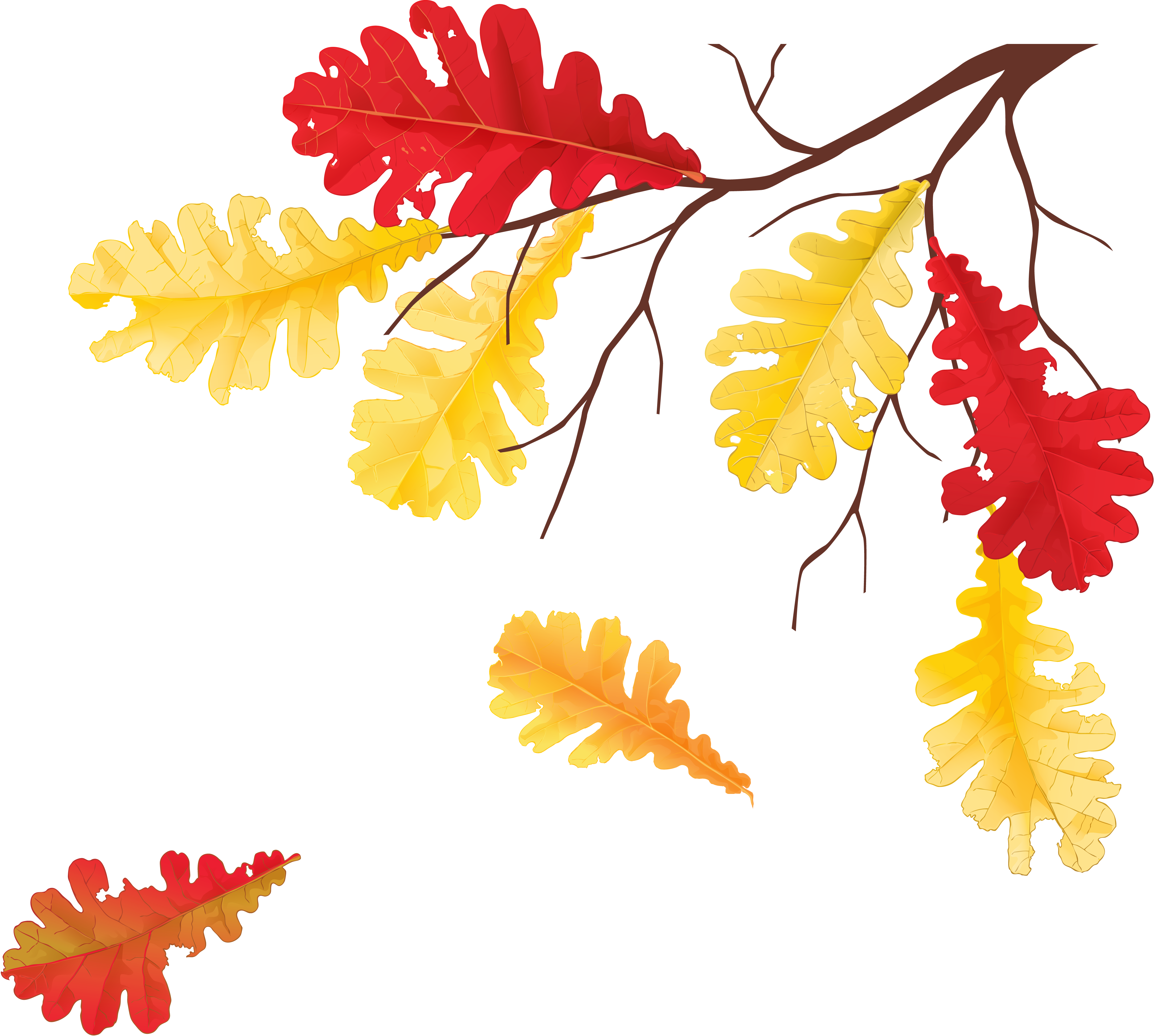 Ветка осенних листьев. Осенние листочки. Осенние листья картинки. Осенние листья на прозрачном фоне. Осенние листья картинки для детей.