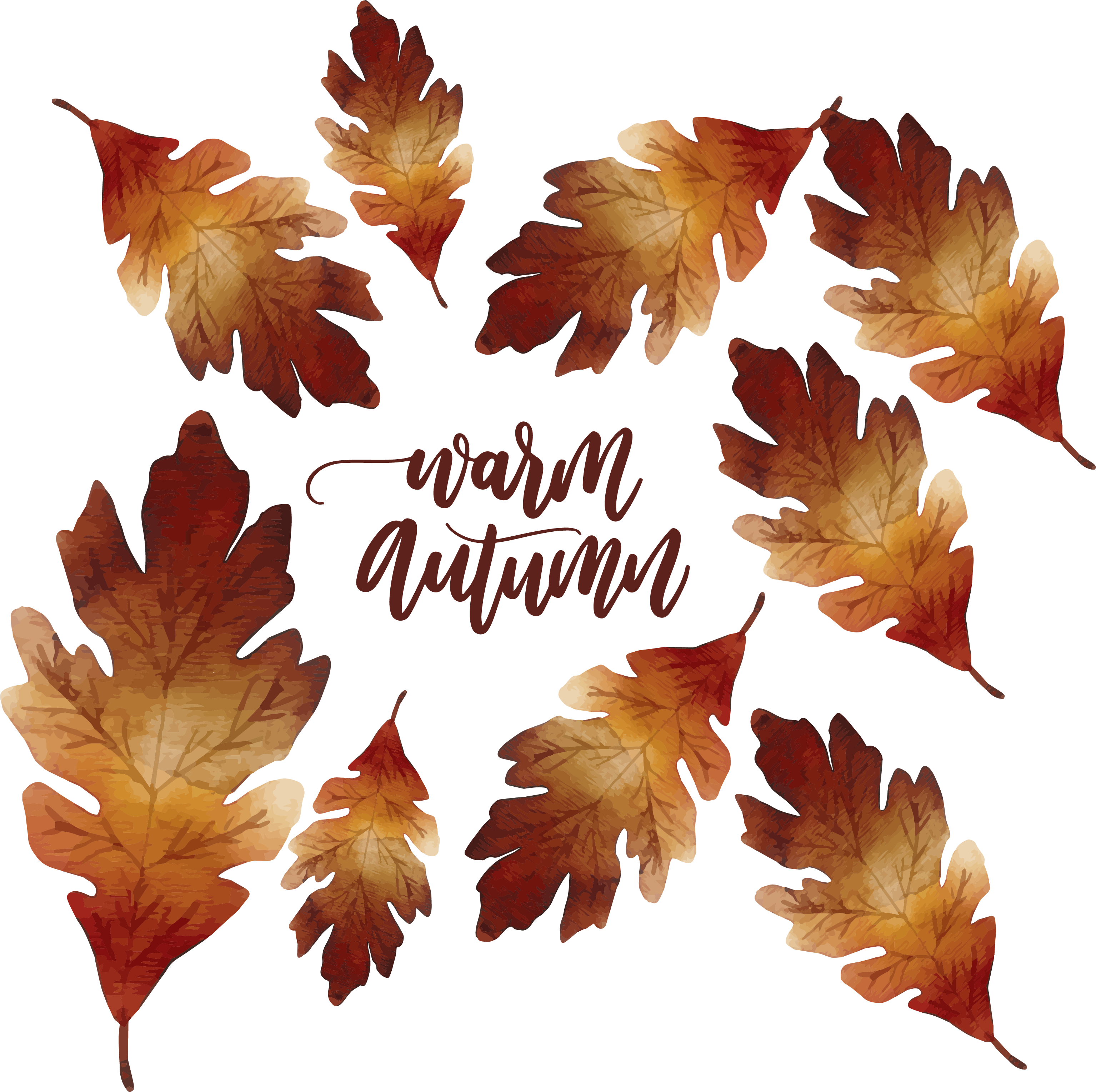 Warm autumn. Осенний лист с надписью. Кленовые листья акварель PNG. Halloween autumn leaves Watercolor. Watercolor Maple Leaf PNG.