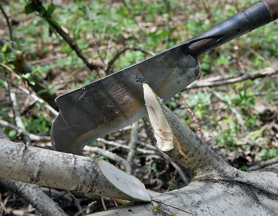Рубить ветку. Рубить ветки. Туристическое мачете рубит ветки. Нож сабля которым в джунглях срубают ветки деревьев. Срубить ветки топором.